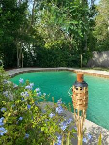 une piscine avec un nourrisseur d'oiseaux dans un jardin dans l'établissement Beautiful Private Room With King Size Bed in Downtown Orlando, à Orlando