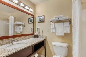 Ένα μπάνιο στο Comfort Inn University +23 φωτογραφίες