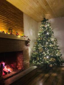 Afbeelding uit fotogalerij van Loft House in Borjomi +18 foto's