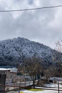 Afbeelding uit fotogalerij van Loft House in Borjomi