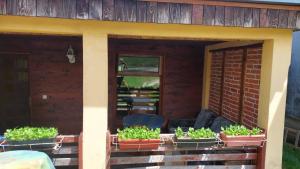 a patio with plants in pots on a house at Farma 2 in Cazin