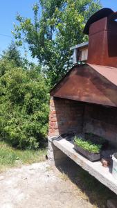 a brick building with a pot of plants on it at Farma 2 in Cazin