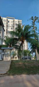 a palm tree in a park in front of a building at Swiss Garden Resort Residence, studio, sea & pool view, high level unit in Kuantan