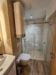 ein Badezimmer mit Dusche, Toilette und Waschbecken in der Unterkunft Dream Luxury Jahorina in Jahorina + 26 Fotos