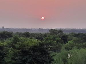 um sol vermelho no céu sobre algumas árvores em Vedic Farms em Garhshankar