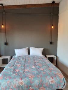 1 dormitorio con 1 cama grande y 2 almohadas blancas en Dormis El Colibrí en Panaholma