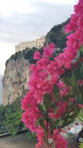un ramo de flores rosas frente a una montaña en Amalfi Grace House - seaview, en Amalfi