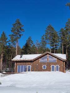 伏羅達爾的住宿－Holiday cabin in beautiful surroundings，雪中树下的房屋