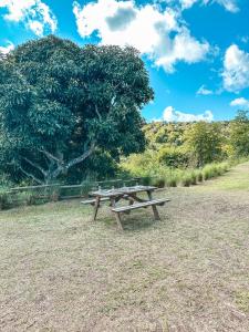 una mesa de picnic sentada en medio de un campo en La villa detente - Une experience authentique, en Rodrigues Island