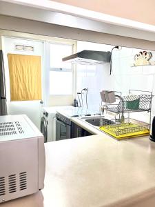 uma cozinha com um lavatório e um suporte para secar pratos em Casa en Pucón em Pucón