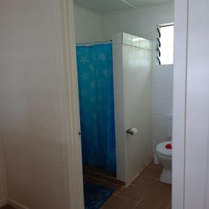 a bathroom with a toilet and a blue shower curtain at Eco Dive Vanuatu Bungalows & Backpackers in Vitouara