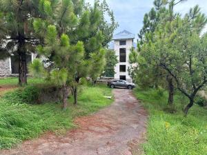 a car parked on a dirt road next to trees at Bhurban 2bed townhouse with a lawn in Bhurban