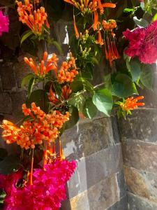 木州的住宿－Vườn An nhiên Mộc Châu，砖墙上的一束鲜花