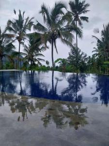 Πισίνα στο ή κοντά στο Sekumpul Bali Hidden Space