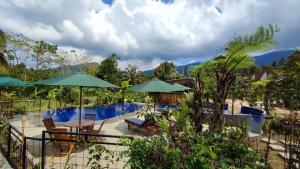 Πισίνα στο ή κοντά στο Sekumpul Bali Hidden Space