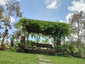 Κήπος έξω από το Sekumpul Bali Hidden Space