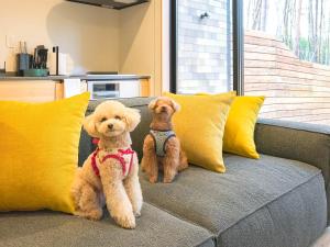 Thú nuôi lưu trú tại Rakuten STAY VILLA Fujikawaguchiko Forest +73 ảnh