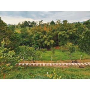 Zahrada ubytování Posada Campestre en Doradal
