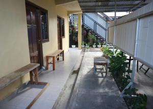 an empty hallway with benches and plants on a building at Tange Guest House in Ruteng