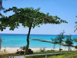 a beach with a pier and a tree at S Beach Resort in Ko Kood