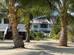 two palm trees in front of a building at La Vida Belize - Casa in Riversdale