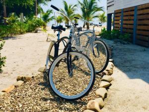 una bicicletta con un cesto parcheggiato sulla spiaggia di La Vida Belize - Casita a Riversdale