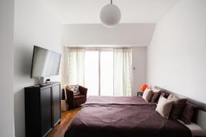 a bedroom with a bed and a flat screen tv at Budapest Terrace Apartment in Budapest