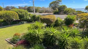 a garden with palm trees and other plants at Island View 1 in Coffin Bay