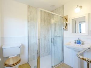 a bathroom with a shower and a toilet and a sink at 4 Bed in The Cairngorms 80298 in Knockandhu