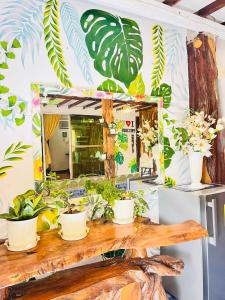 une table avec des plantes en pot devant un miroir dans l'établissement Precious Homestay-Family Room, à Burgos
