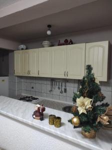 Dapur atau dapur kecil di Apartman Luka