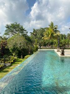 a swimming pool in a resort with palm trees at Arvanya Villa Ubud in Tegalalang