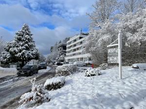 una calle cubierta de nieve con un edificio y árboles en HARZ HOTEL und Gästehaus am Bornweg en Bad Sachsa