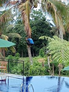 Πισίνα στο ή κοντά στο Sekumpul Bali Hidden Space