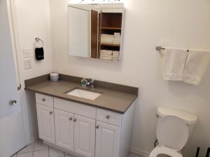 a bathroom with a sink and a toilet at Ridgeland Retreat/ Street level Apt easy access in Berwyn