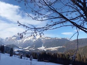 Blick auf einen schneebedeckten Berg von einer Skipiste in der Unterkunft Fesengut in Annaberg im Lammertal