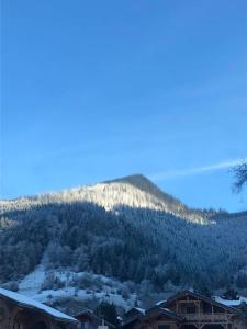 a view of a mountain with snow and trees at Chalet de montagne Pierre et Gaby non-fumeur hôte non professionnel in Saint-Jean-d'Aulps