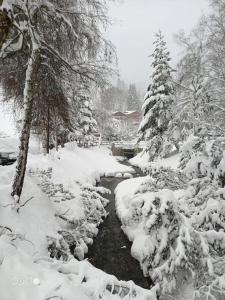 a snow covered forest with a stream and trees at Chalet de montagne Pierre et Gaby non-fumeur hôte non professionnel in Saint-Jean-d'Aulps