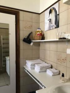 uma casa de banho com um lavatório e uma prateleira com toalhas em Chalet de montagne Pierre et Gaby non-fumeur hôte non professionnel em Saint-Jean-dʼAulps