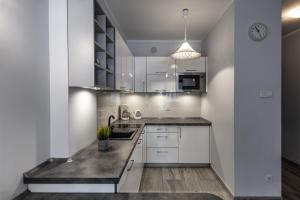 Kuchyňa alebo kuchynka v ubytovaní Apartamenty City Center - Zdrojowe