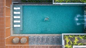 Koulen Central Hotel في سيام ريب: شخص يسبح في مسبح مع كلب