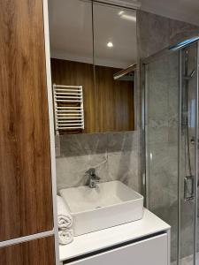a bathroom with a sink and a shower at Rezydencja Miętowe Wzgórza Mansion House in Zakroczym