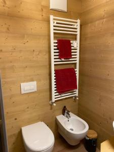 un bagno con un water bianco e un lavandino di Grazioso appartamento a Madonna di Campiglio a Madonna di Campiglio Altre 19 foto