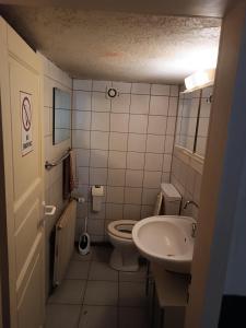 La petite salle de bains est pourvue de toilettes et d'un lavabo. dans l'établissement Gasthaus Sunnenhof Sonne, 