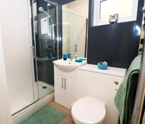 une salle de bain avec toilettes, lavabo et douche dans l'établissement Eastbourne Beautiful Seafront house, à Eastbourne 14 autres photos