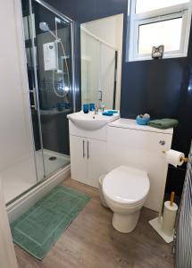 uma casa de banho com um WC, um lavatório e um chuveiro em Eastbourne Beautiful Seafront house em Eastbourne
