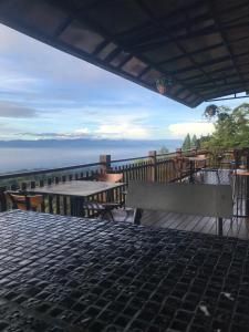 Příroda nedaleko hotelu