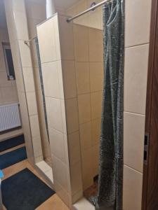 a shower with a shower curtain in a bathroom at Noclegi Budomas Budget Wrocław-Szymanów FreeParking SmartTv in Wrocław +4 photos
