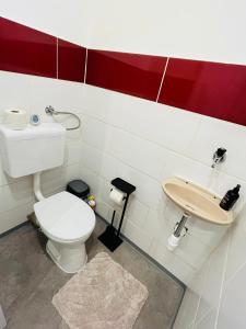 a bathroom with a toilet and a sink at Magnifique Appartment in Linz
