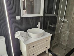 a bathroom with a sink and a shower at Malina Glamping in Vama